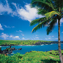 Image with missing alt attribute found on tlcdelivers.com