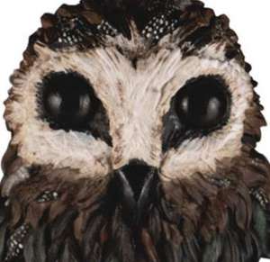 Image with missing alt attribute found on toywiz.com