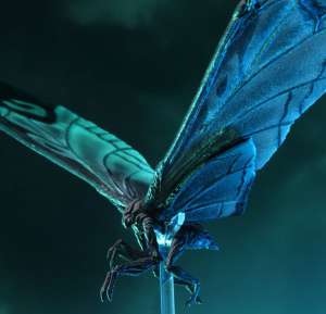 Image with missing alt attribute found on toywiz.com