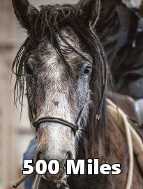 500 Miles