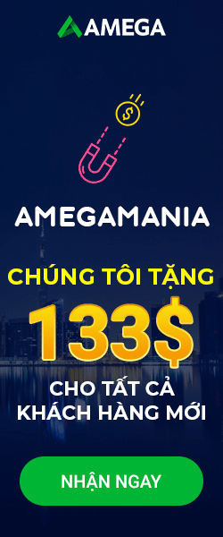 Image with missing alt attribute found on traderviet.com