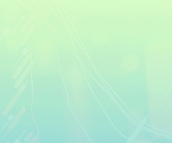 Image with missing alt attribute found on traderviet.com