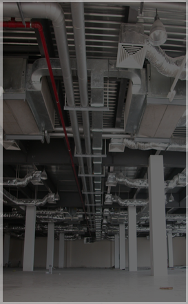 Image with missing alt attribute found on trangiaphat.com