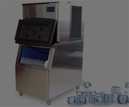 Image with missing alt attribute found on trangiaphat.com