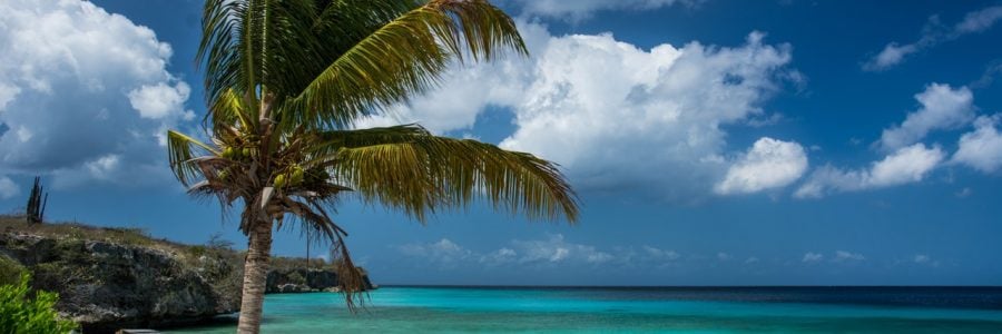 Image with missing alt attribute found on travelfree.info