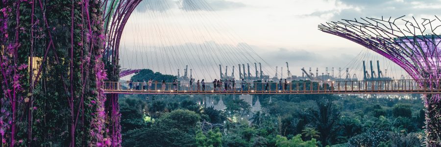 Image with missing alt attribute found on travelfree.info