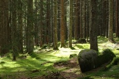 Image with missing alt attribute found on travellingingermany.com