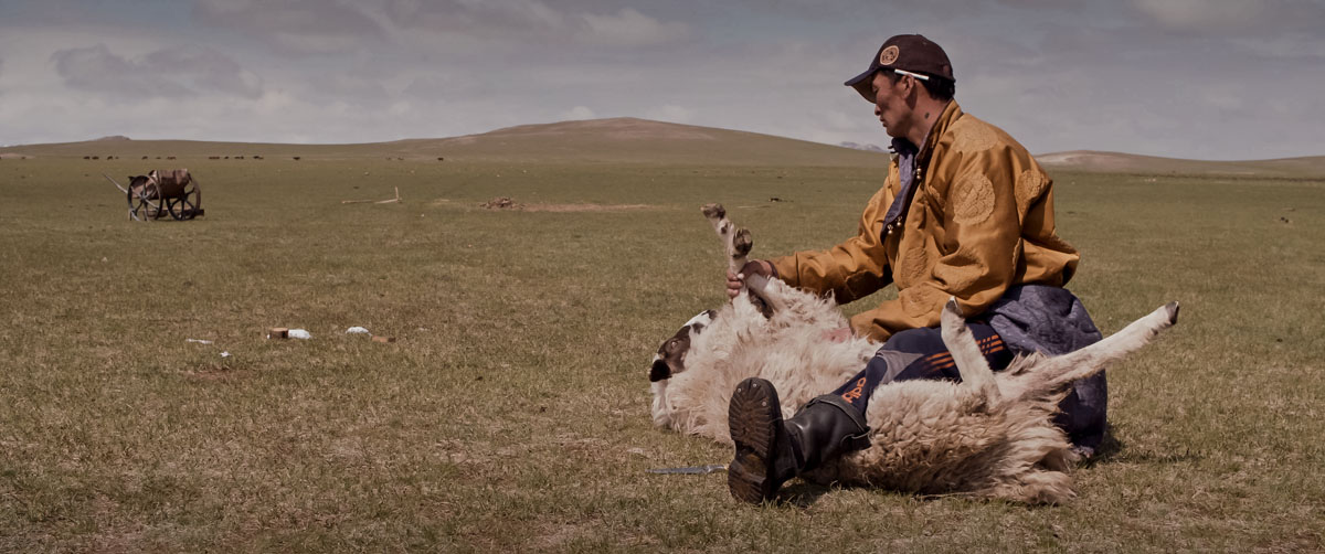 Image with missing alt attribute found on tricycle.org