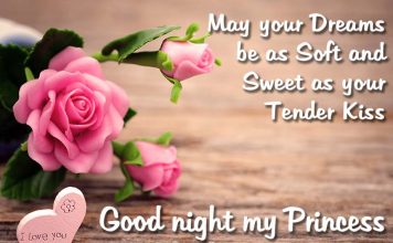 Good Night my Love - Good night messages for her