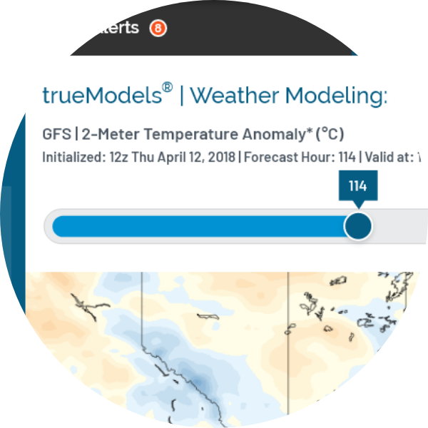Image with missing alt attribute found on truewx.com