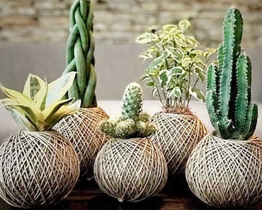 Image with missing alt attribute found on tudoespecial.com