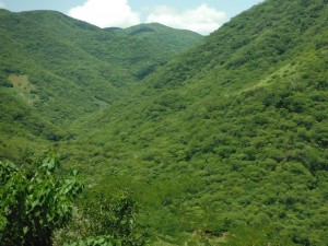 Image with missing alt attribute found on uaem.mx