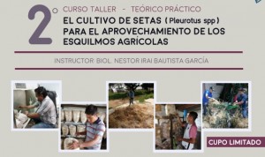 Image with missing alt attribute found on uaem.mx