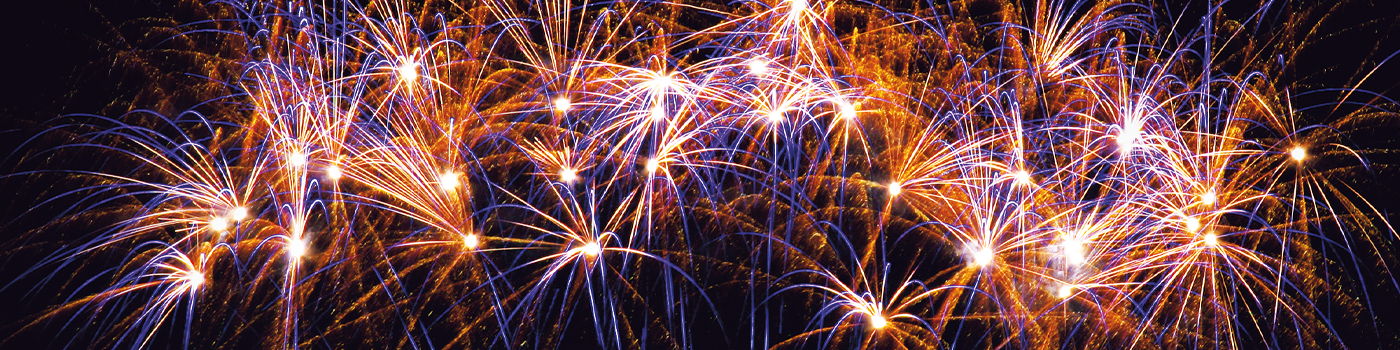 Image with missing alt attribute found on hollywoodbowl.com