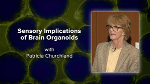 Image with missing alt attribute found on uctv.tv