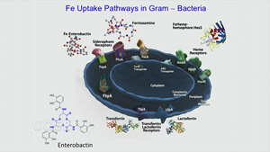 Image with missing alt attribute found on uctv.tv