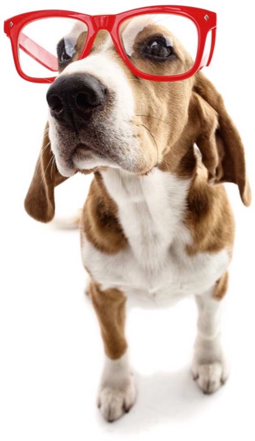 Image with missing alt attribute found on virginmoney.com