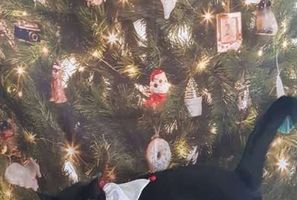 Image with missing alt attribute found on ukr.media