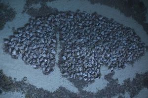 Image with missing alt attribute found on ukr.media