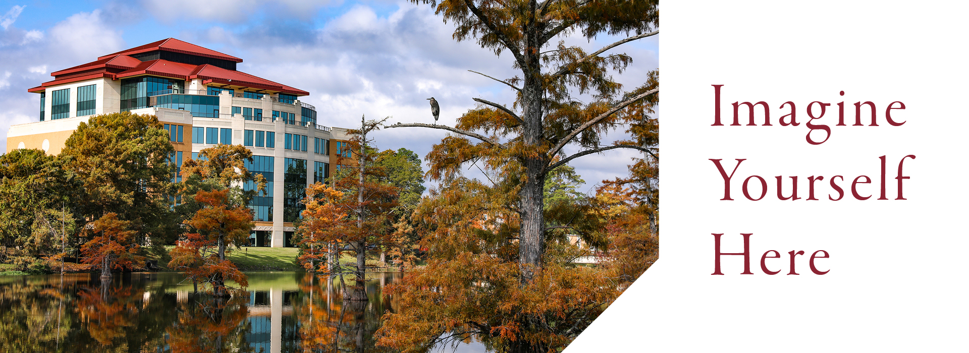 ULM Library and bayou banner ad