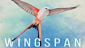 Image with missing alt attribute found on ultraboardgames.com