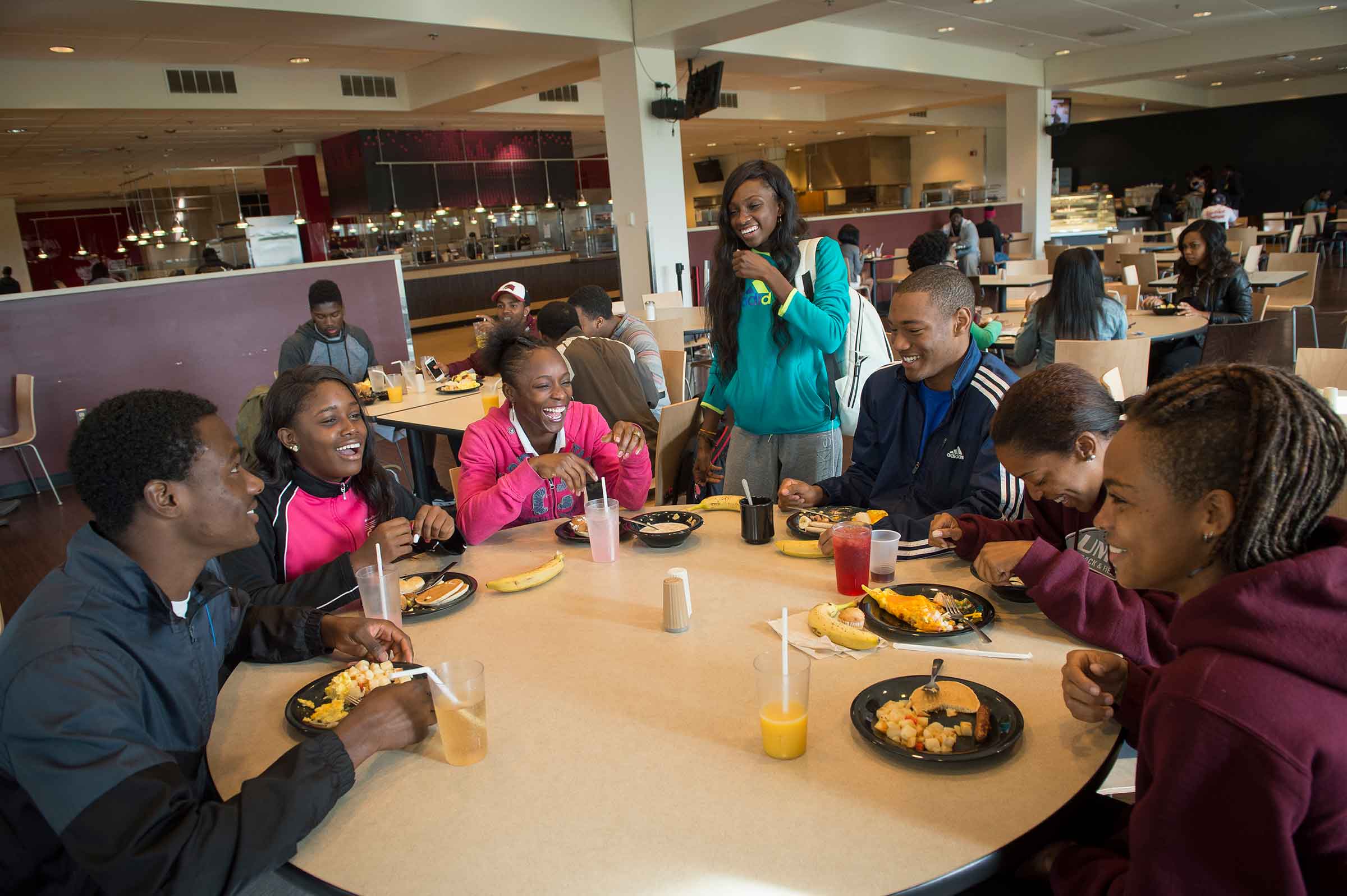 Image with missing alt attribute found on umes.edu