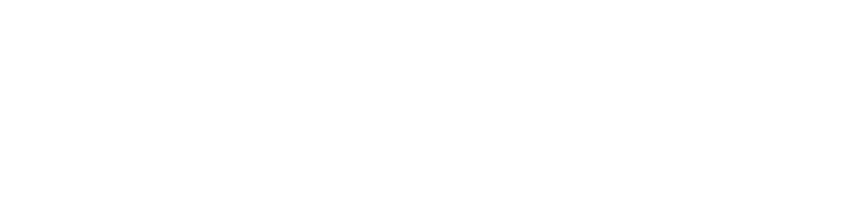 Resistance Santiago Logo