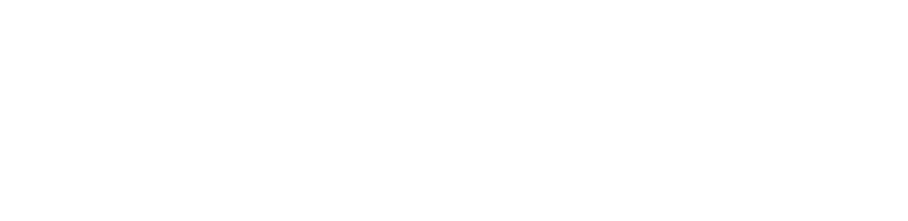 Resistance Quito Logo