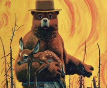 Image with missing alt attribute found on untamedscience.com