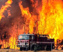 Image with missing alt attribute found on untamedscience.com