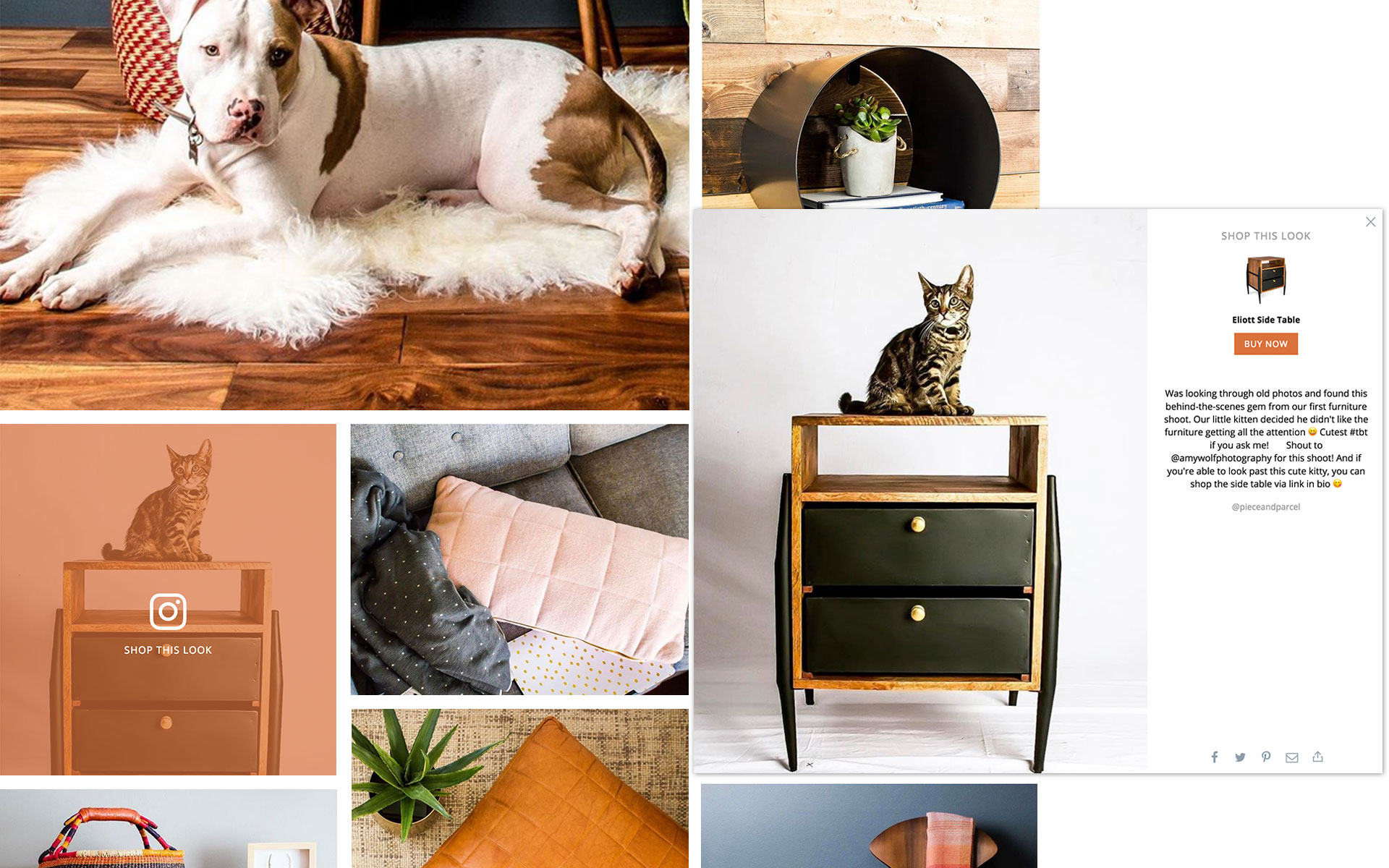 Image with missing alt attribute found on covet.pics