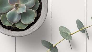 Image with missing alt attribute found on urologyhealth.org