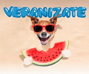 VERANIZATE Diciembre 2019