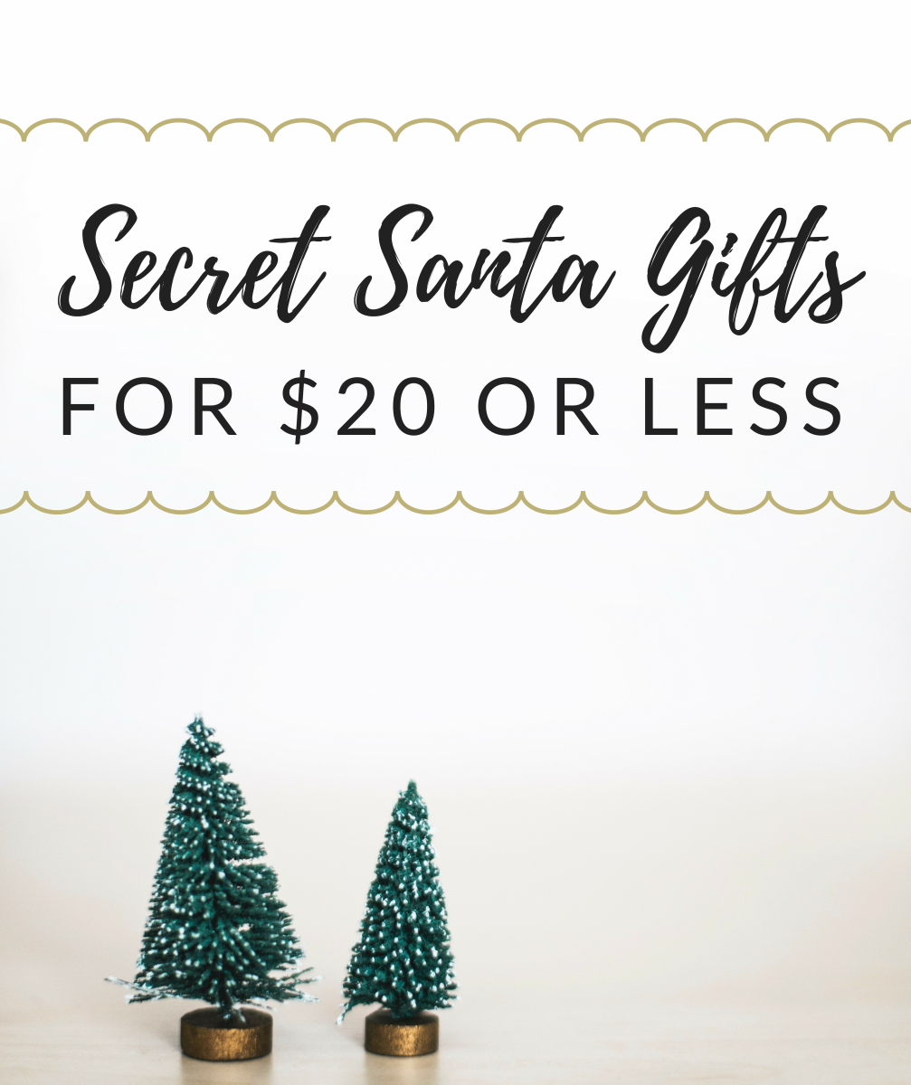Unisex Secret Santa Gift Ideas for Under $20