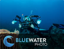 Image with missing alt attribute found on uwphotographyguide.com