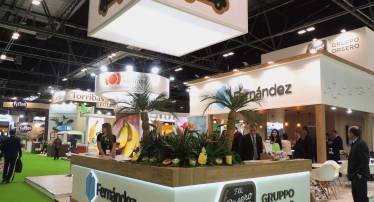 Image with missing alt attribute found on valenciaplaza.com