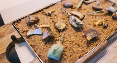 Image with missing alt attribute found on valenciaplaza.com