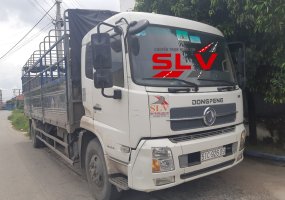 VẬN CHUYỂN H&Agrave;NG XUY&Ecirc;N VIỆT