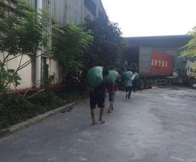 C&Ocirc;NG TY TNHH DỊCH VỤ VẬN TẢI SƠN LONG VIỆT