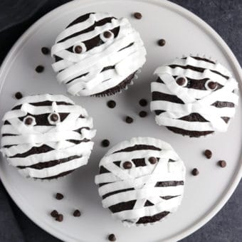 Image with missing alt attribute found on veganhuggs.com