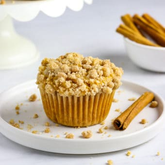 Image with missing alt attribute found on veganhuggs.com