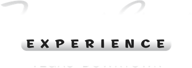 Fremont Street Experience Logo