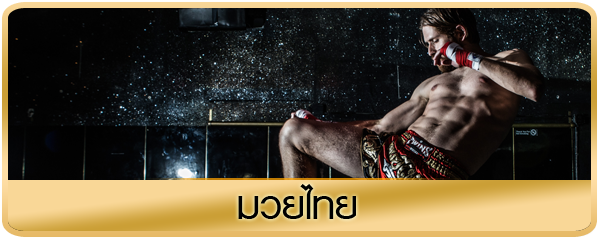 Image with missing alt attribute found on vegus168hd.com