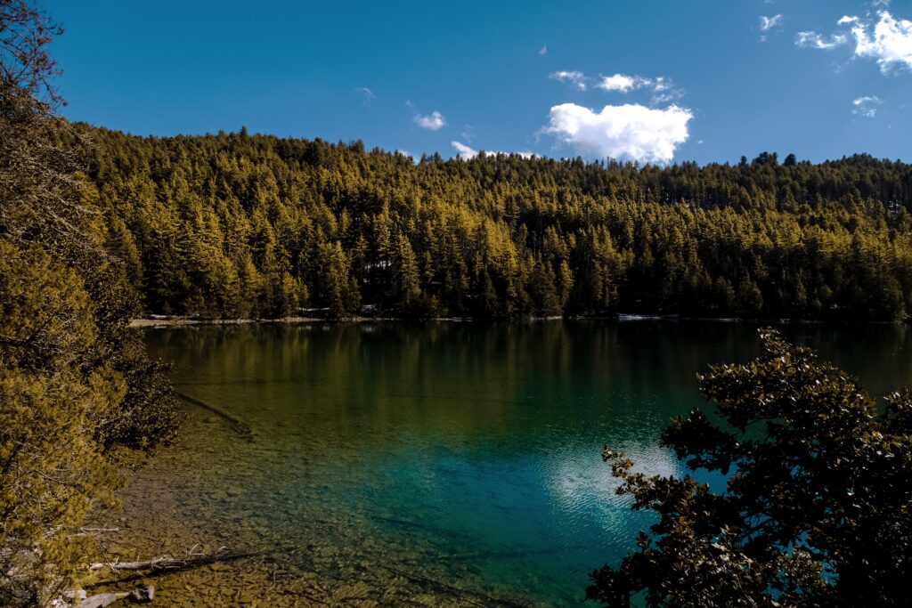 Image with missing alt attribute found on vehiclenepal.com