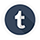 Tumblr socail