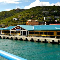 Image with missing alt attribute found on viconsortium.com