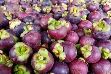 Image with missing alt attribute found on trithucvn.net