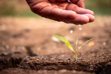 Image with missing alt attribute found on trithucvn.net