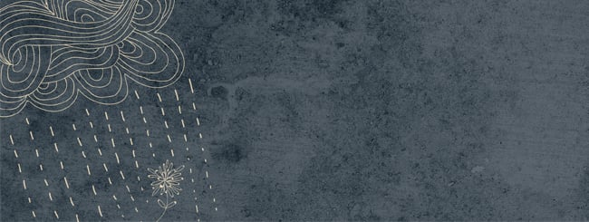 Image with missing alt attribute found on chabad.org