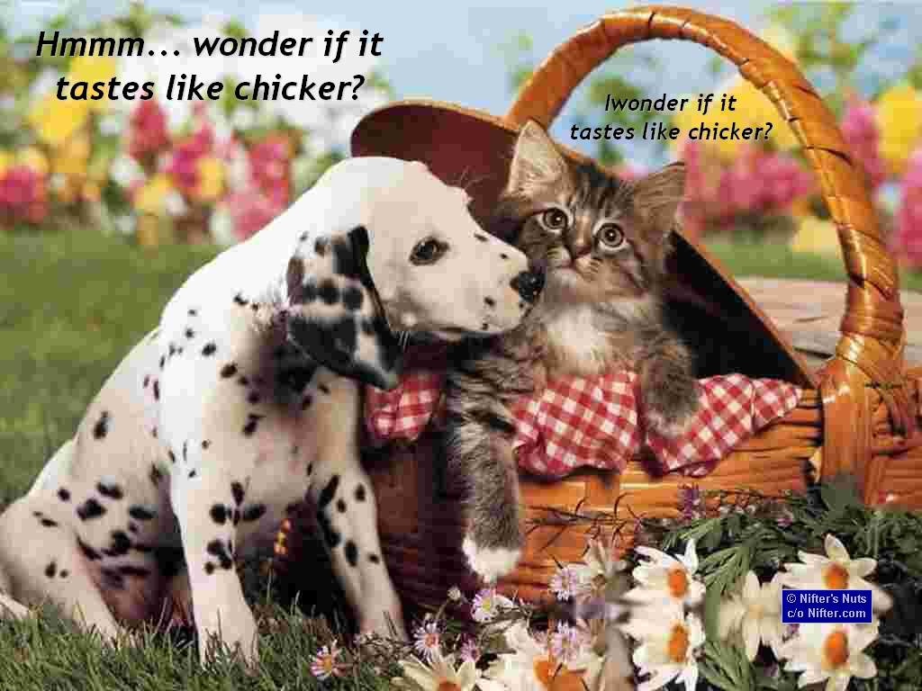 Wallpapers with captions